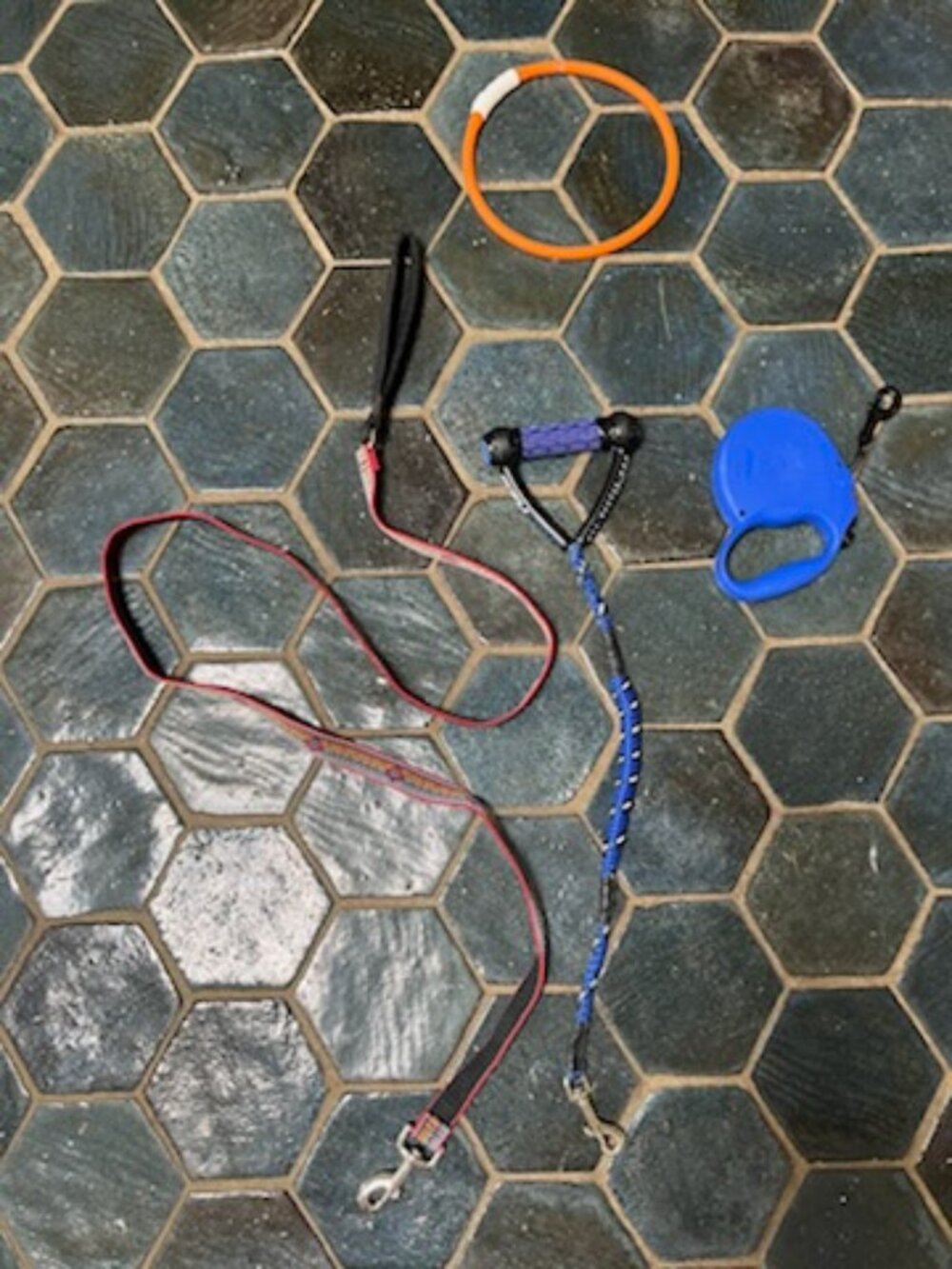 Dog Leashes plus light collar